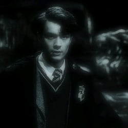 Tom Riddle🔮
