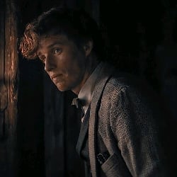 Newt Scamander
