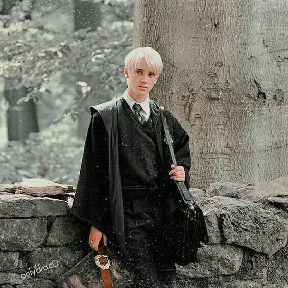 Draco Malfoy³