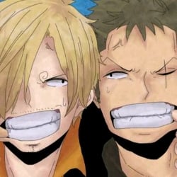 Sanji and Zoro