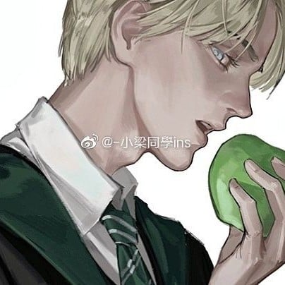 Draco Lucius Malfoy🍁