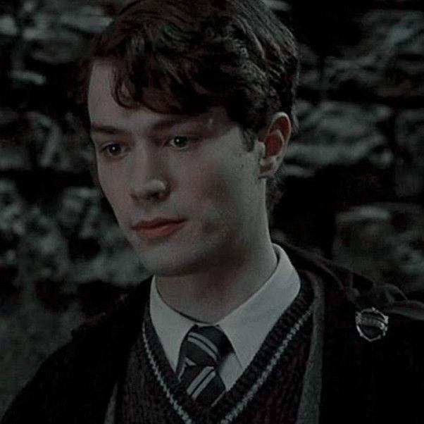 Tom M Riddle (lord Voldemort)