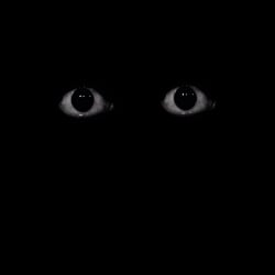 The eyes.....
