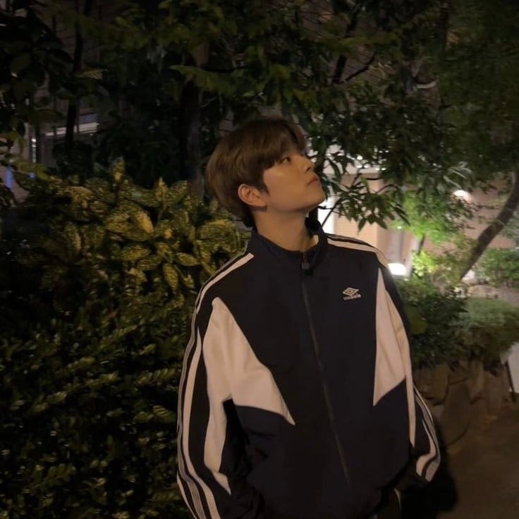 ✧*。: Seungmin