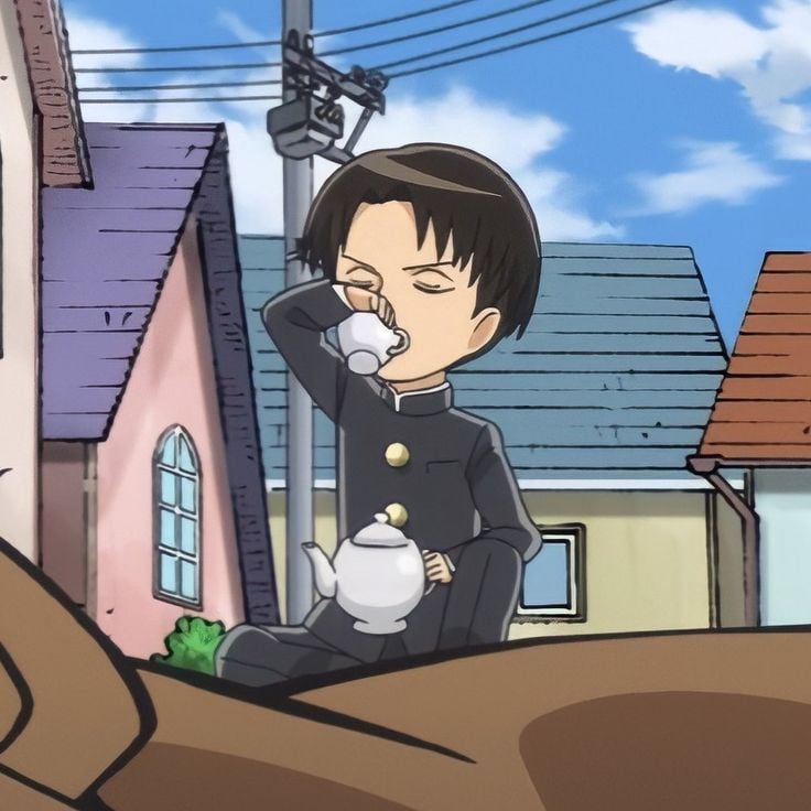 Levi