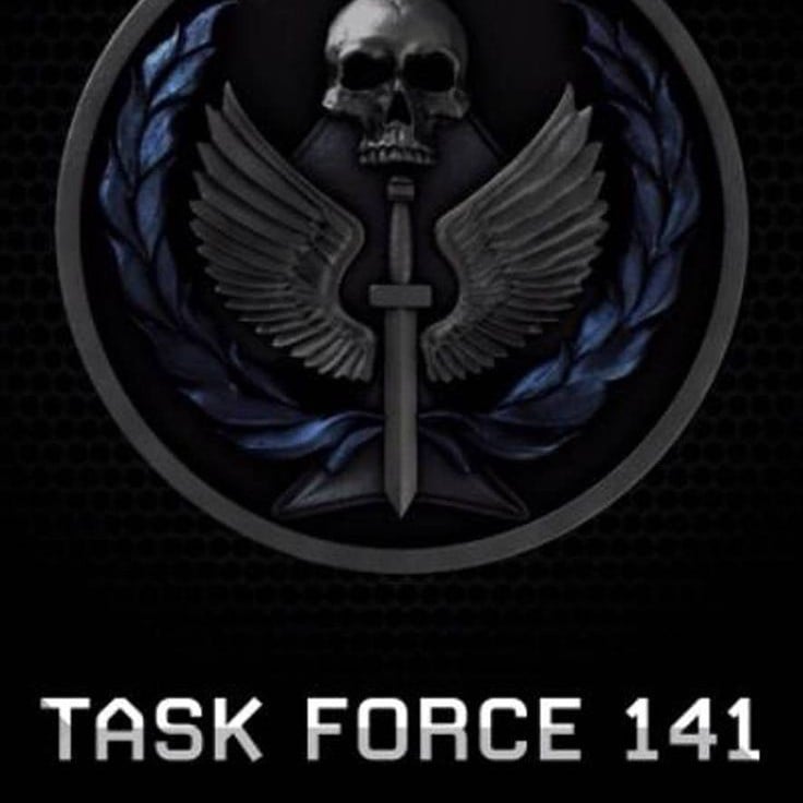 Task Force 141