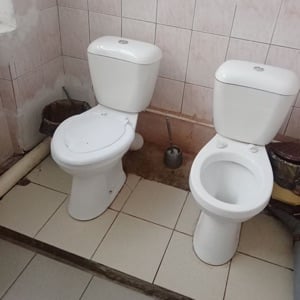 Two toilet brothers (77CG4Z PLS)
