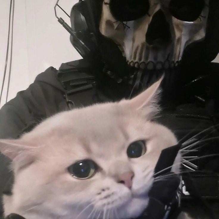 •✭|gнσѕт!✰