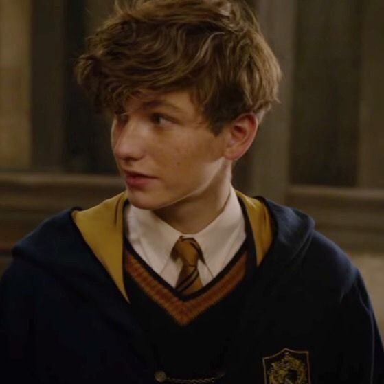 🏳️🌈 | | Newt Scamander