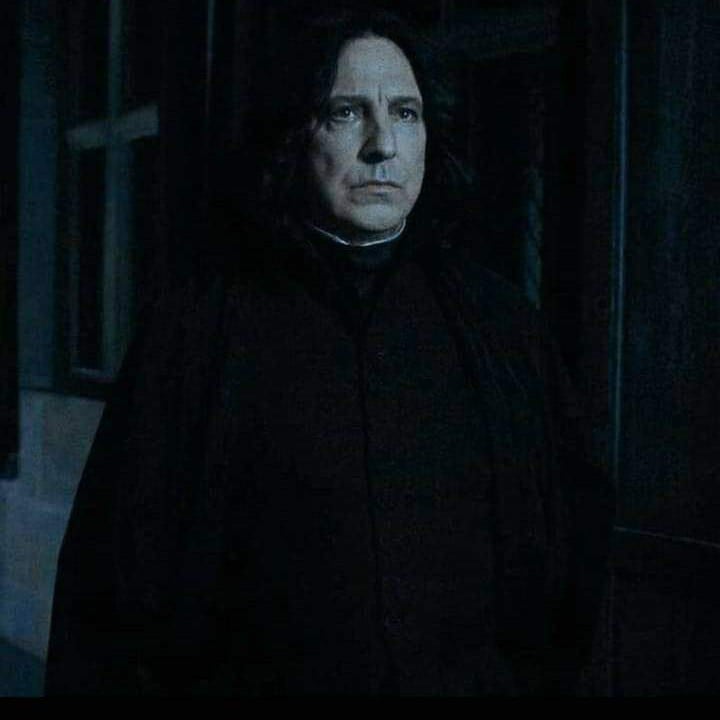 Professor S. Snape