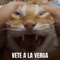 me vale verga