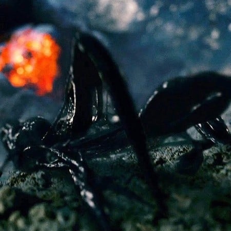 symbiote