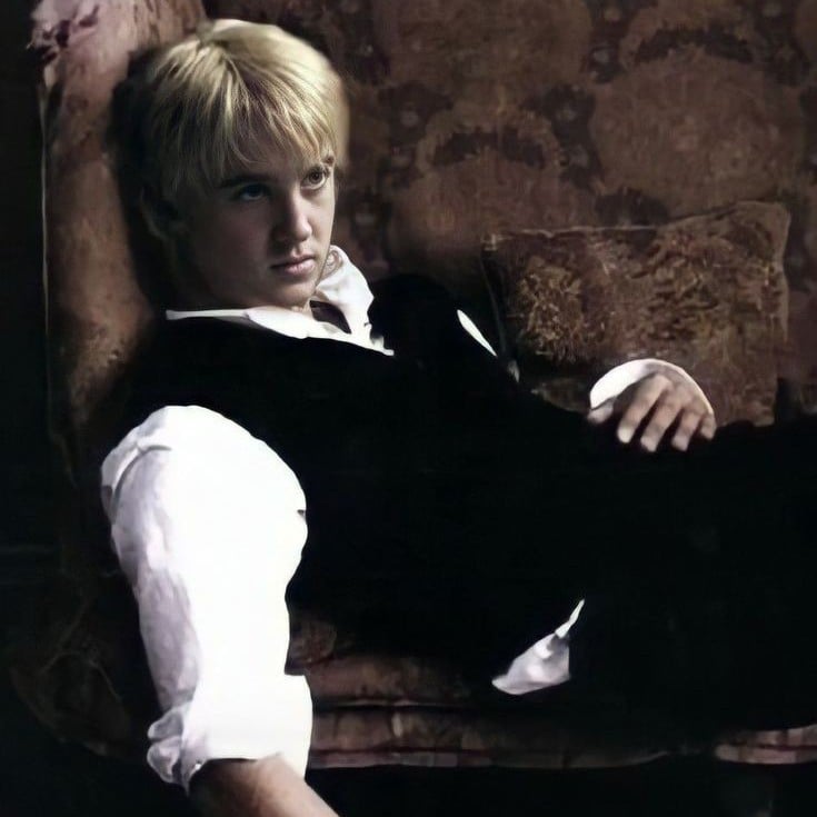Draco Malfoy🐍 [Autumn and the Black Lake]