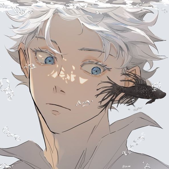 ❟ ❟⃝🪼 — Gojo Satoru