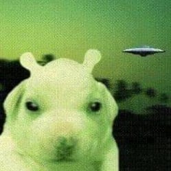 Alien Dog