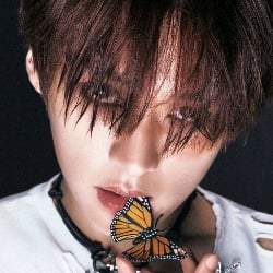 Lee MinHo || Better boyfriend