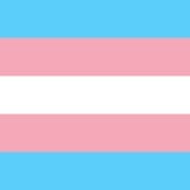 Transgender Question