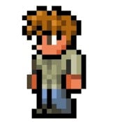 the guide