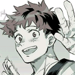 Izuku Midoriya (^q^)