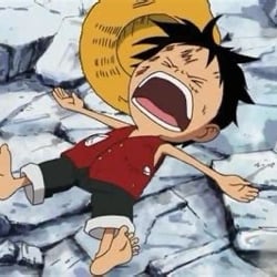 luffy *girl*