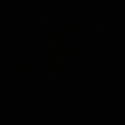 The Dark Web