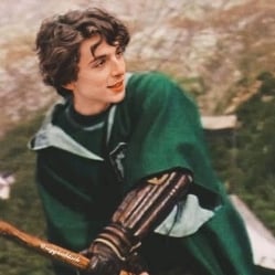 Regulus black
