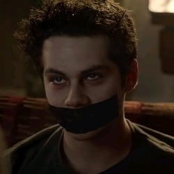 stiles.  .