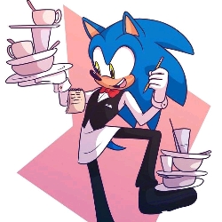 sonic waiter