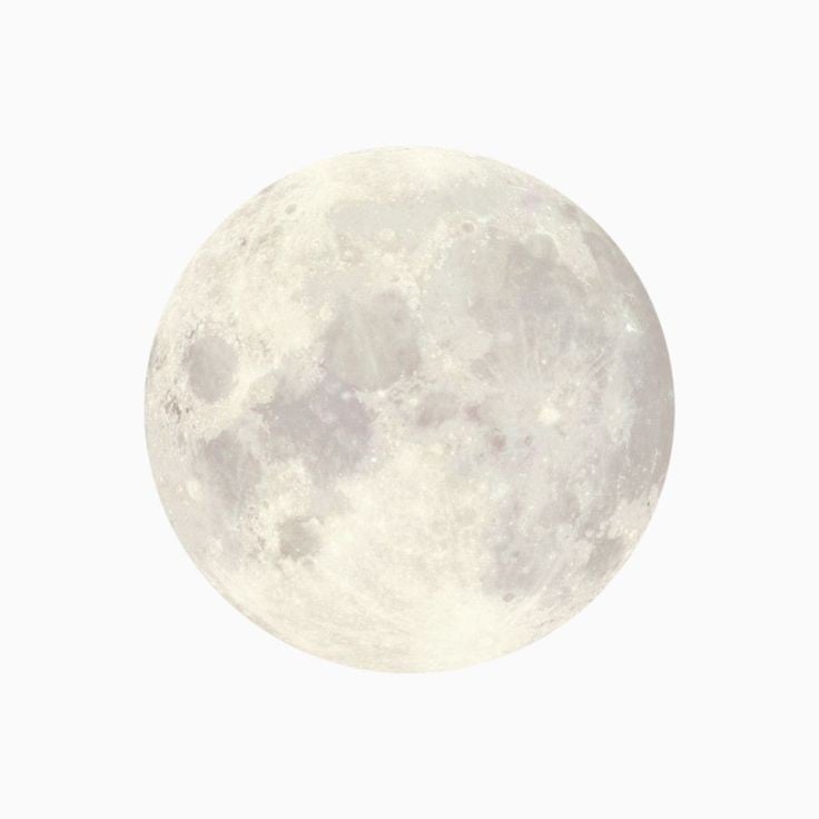 •🌕┆Moon Solarballs₊˚[Nsfw]