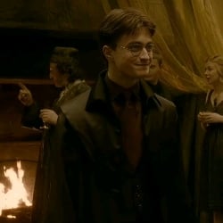 Harry Potter · In love