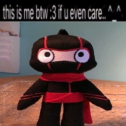 ¡! ¡! ¡! NINJA PLUSHHHH-
