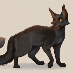 Gray Wing