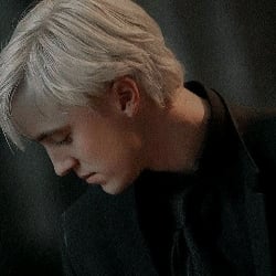 Draco Malfoy · In love