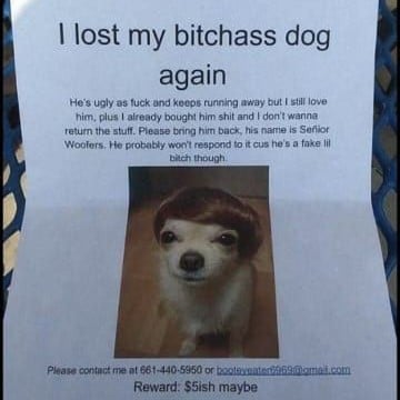 please use the code