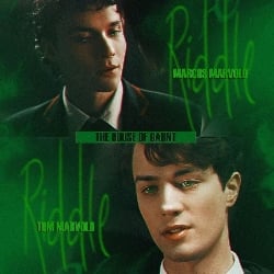 Tom and Mattheo Riddle