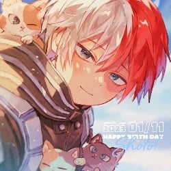 Shoto Todoroki