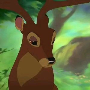 Bambi's dad