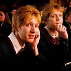 Fred and George Weasley