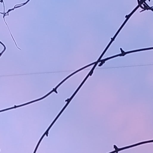 free energy RNDB4Z