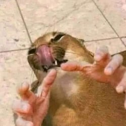 Cacha Vaporeons
