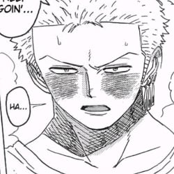 Zoro (*⌒3⌒*)