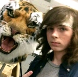 Chandler Riggs
