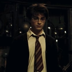 harry potter.