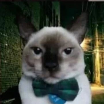Pablo