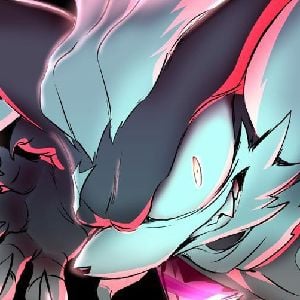 Infinite the jackal