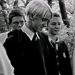 Draco Malfoy ꕥ