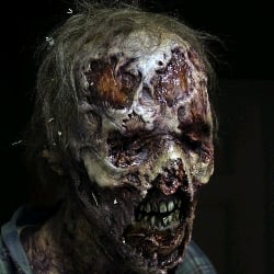 Withered zombie