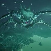 infected broodmother
