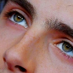 Regulus Black
