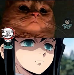 tokito